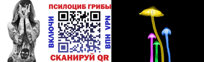 Купить  Петров Вал  Псилоцибиновые грибы GOLDEN TEACHER 